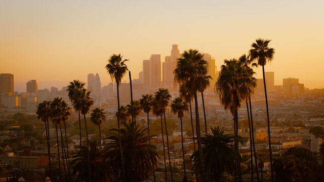 Vista de los angeles con palmeras.